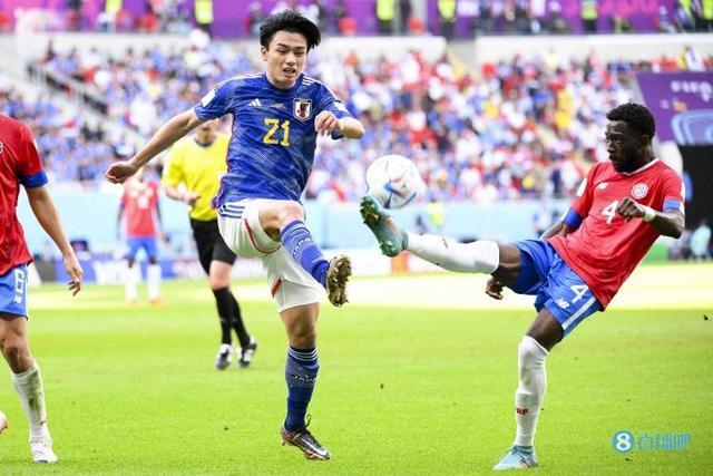 赛场的统治 赛场的统治