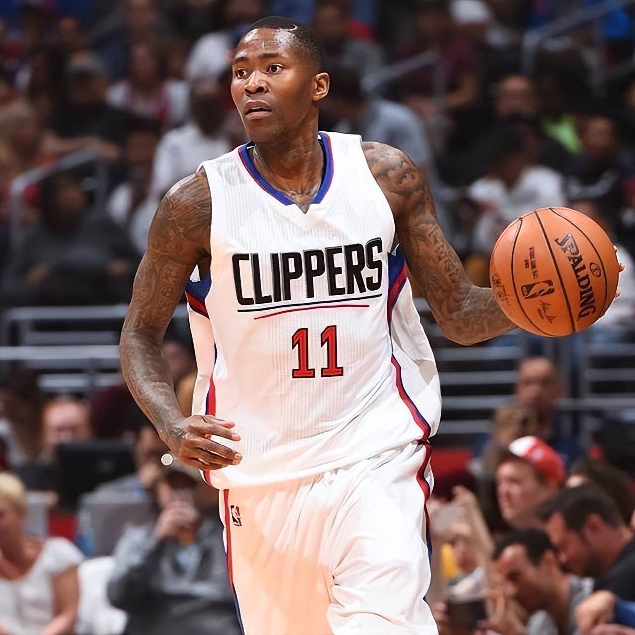 内容更全面 内容更全面