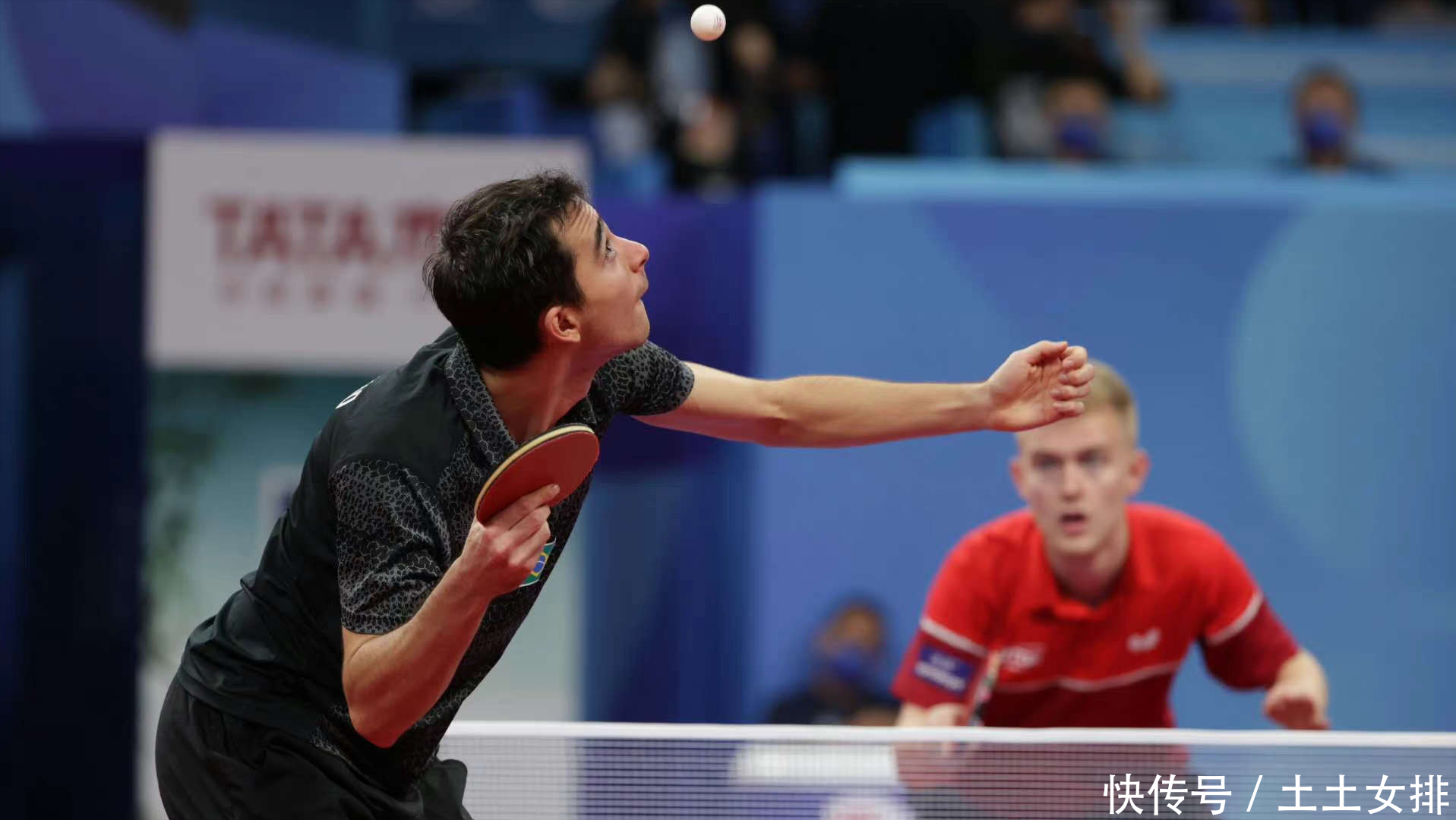 y的商业合 y的商业合